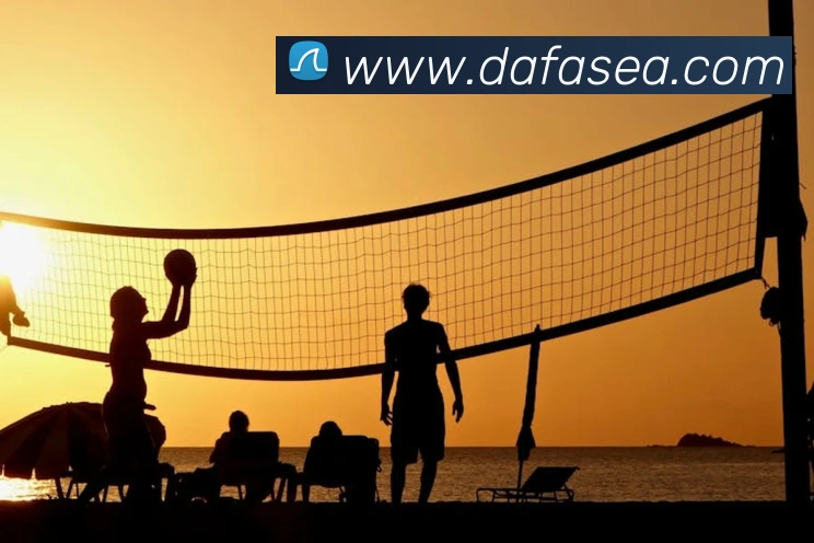 大发官网APP 封面图